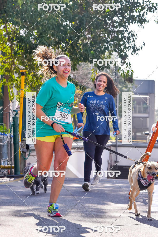 Buy your photos of the event2 Pet Run Shopping Eldorado  on Fotop