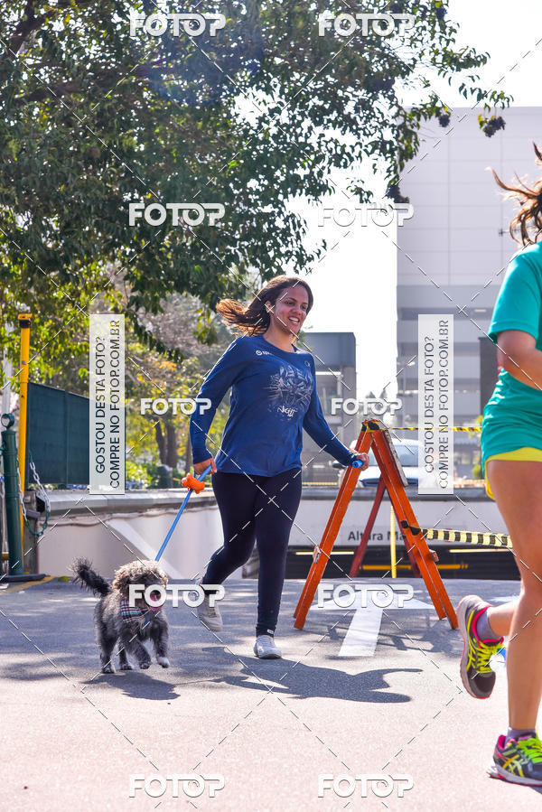 Buy your photos of the event2 Pet Run Shopping Eldorado  on Fotop