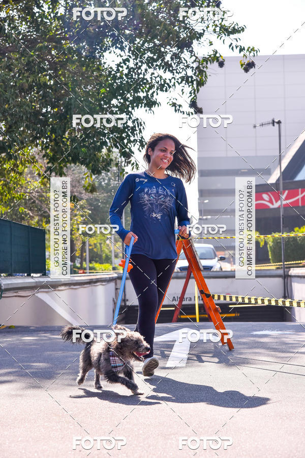 Buy your photos of the event2 Pet Run Shopping Eldorado  on Fotop