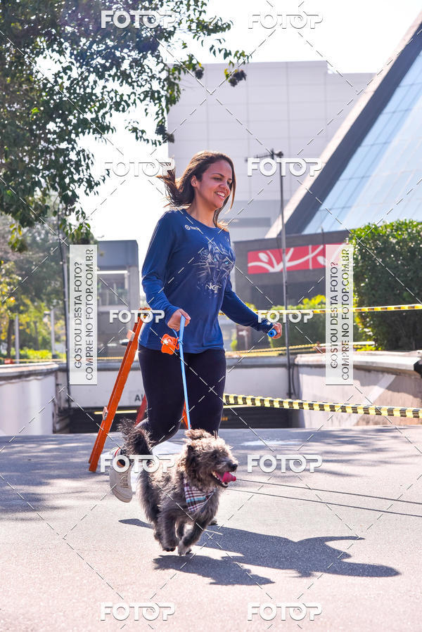 Buy your photos of the event2 Pet Run Shopping Eldorado  on Fotop