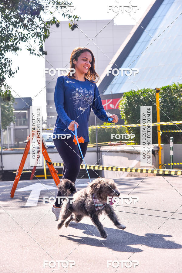 Buy your photos of the event2 Pet Run Shopping Eldorado  on Fotop