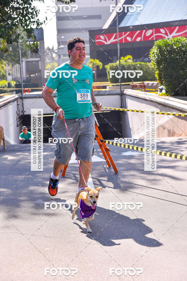 Buy your photos of the event2 Pet Run Shopping Eldorado  on Fotop