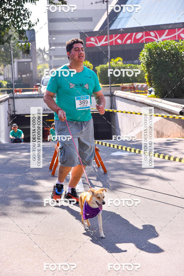 Buy your photos of the event2 Pet Run Shopping Eldorado  on Fotop