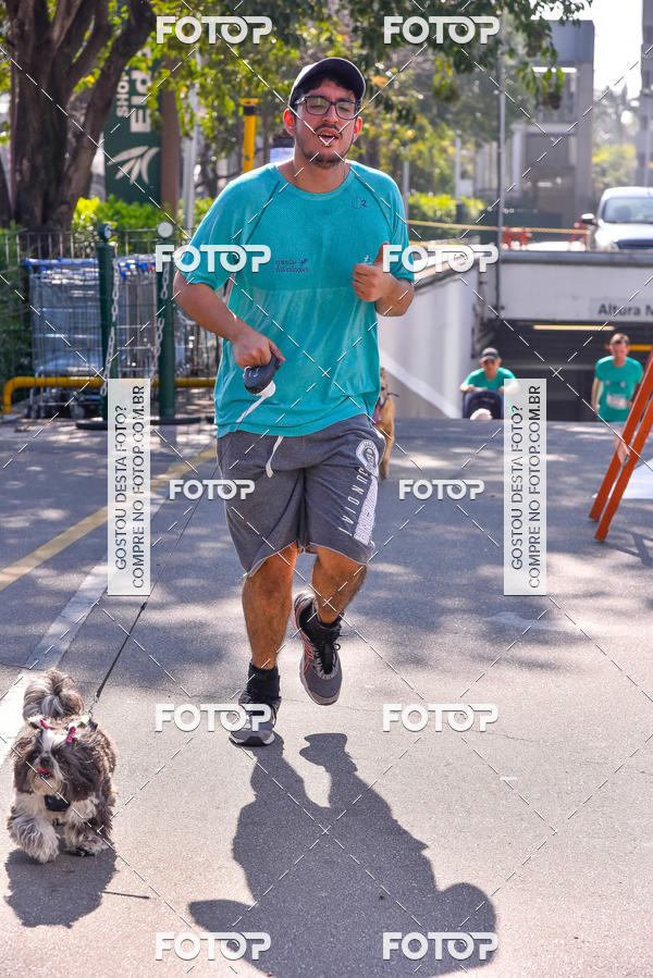 Buy your photos of the event2 Pet Run Shopping Eldorado  on Fotop