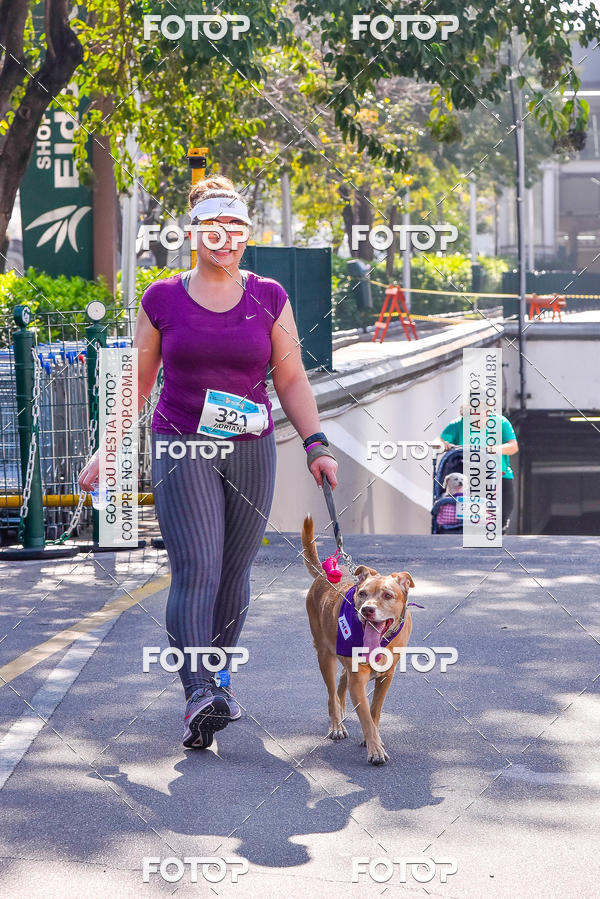 Buy your photos of the event2 Pet Run Shopping Eldorado  on Fotop