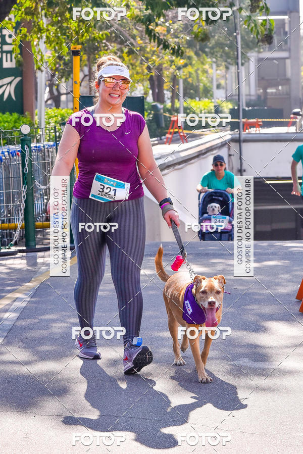 Buy your photos of the event2 Pet Run Shopping Eldorado  on Fotop