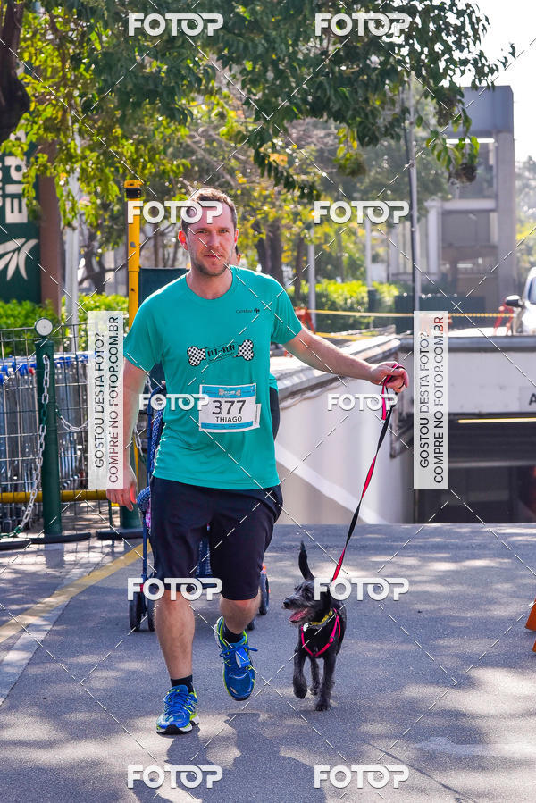 Buy your photos of the event2 Pet Run Shopping Eldorado  on Fotop