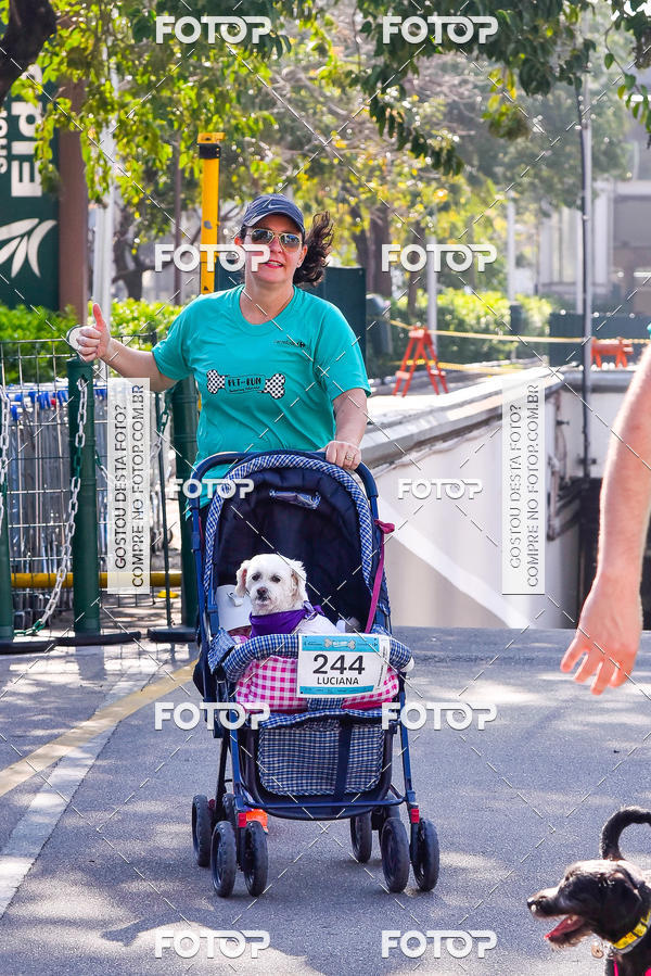 Buy your photos of the event2 Pet Run Shopping Eldorado  on Fotop