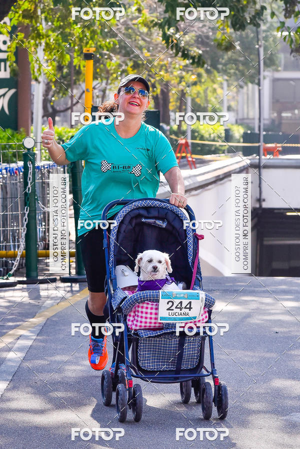 Buy your photos of the event2 Pet Run Shopping Eldorado  on Fotop