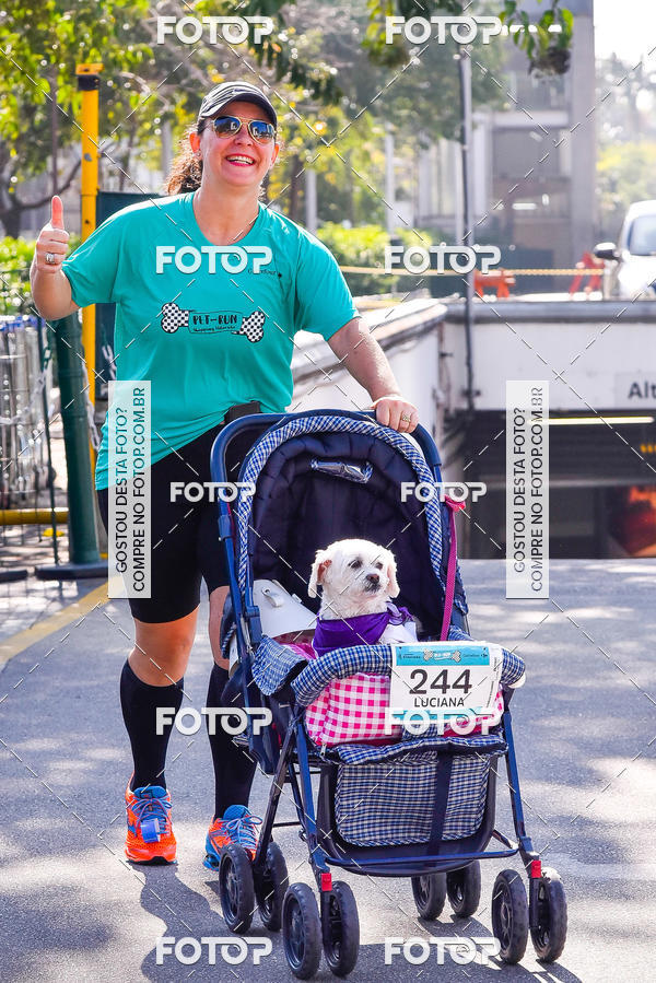 Buy your photos of the event2 Pet Run Shopping Eldorado  on Fotop