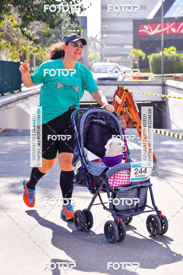 Buy your photos of the event2 Pet Run Shopping Eldorado  on Fotop
