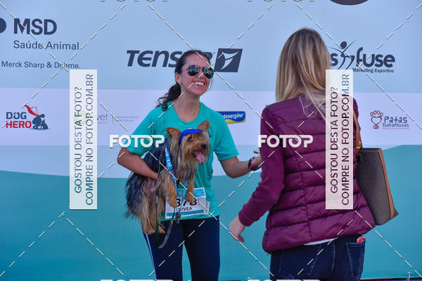 Buy your photos of the event2 Pet Run Shopping Eldorado  on Fotop