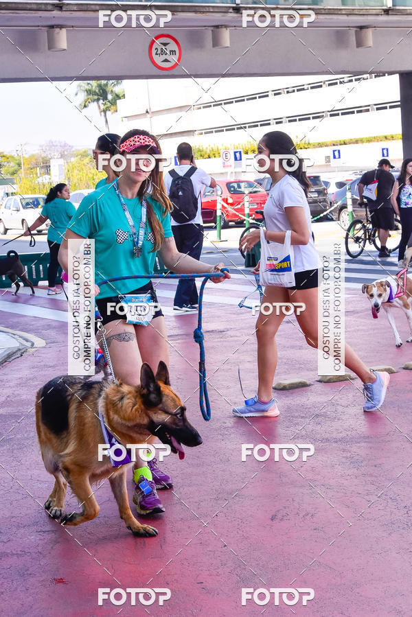 Buy your photos of the event2 Pet Run Shopping Eldorado  on Fotop