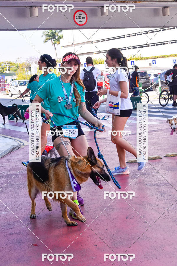 Buy your photos of the event2 Pet Run Shopping Eldorado  on Fotop