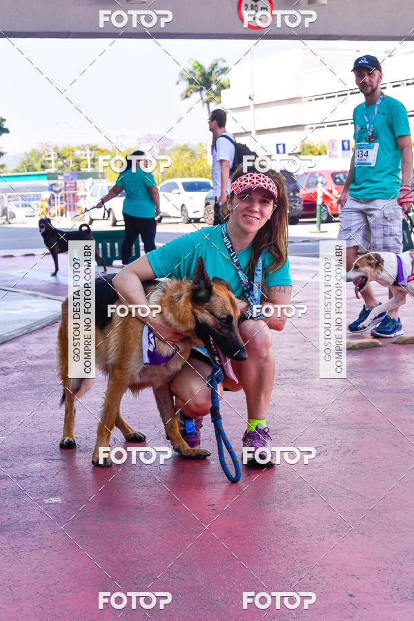Buy your photos of the event2 Pet Run Shopping Eldorado  on Fotop