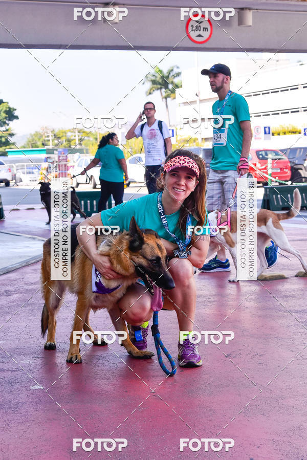 Buy your photos of the event2 Pet Run Shopping Eldorado  on Fotop
