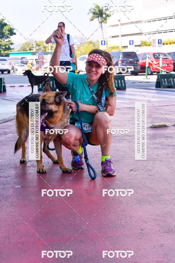 Buy your photos of the event2 Pet Run Shopping Eldorado  on Fotop