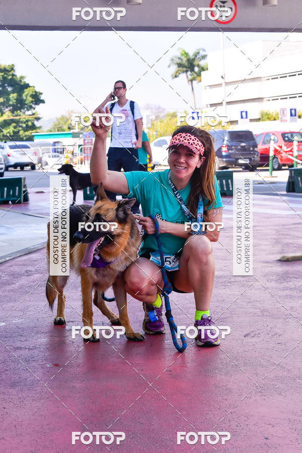 Buy your photos of the event2 Pet Run Shopping Eldorado  on Fotop