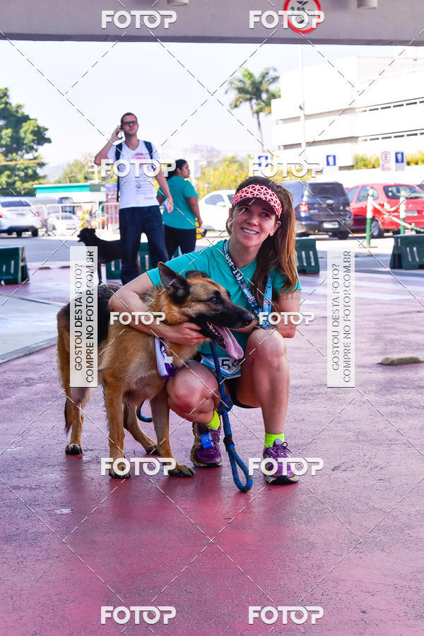 Buy your photos of the event2 Pet Run Shopping Eldorado  on Fotop