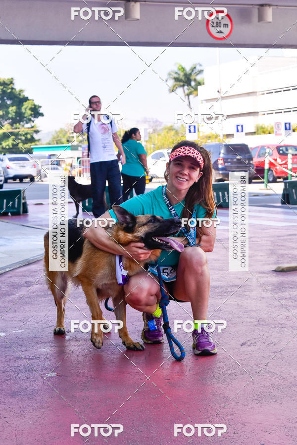 Buy your photos of the event2 Pet Run Shopping Eldorado  on Fotop