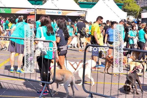 Buy your photos of the event2 Pet Run Shopping Eldorado  on Fotop