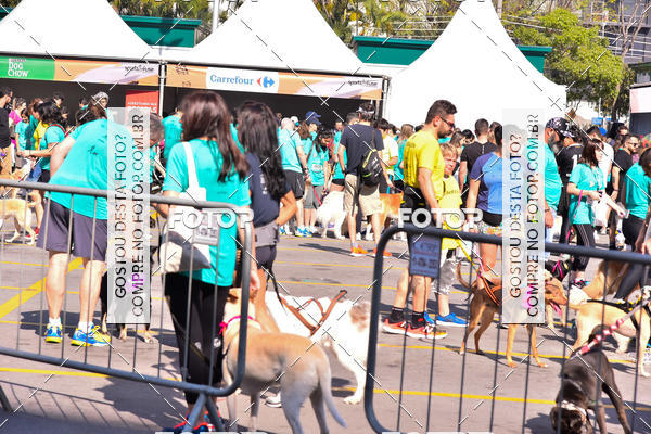 Buy your photos of the event2 Pet Run Shopping Eldorado  on Fotop
