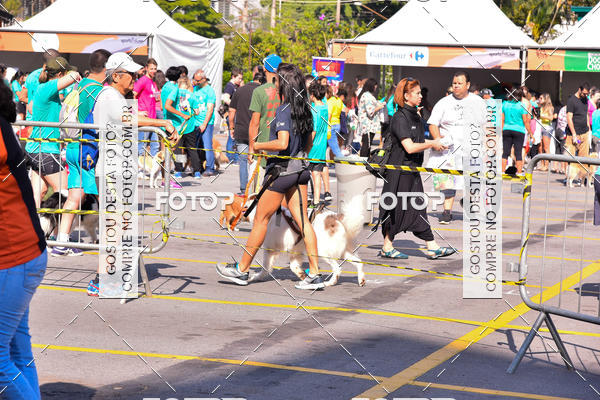Buy your photos of the event2 Pet Run Shopping Eldorado  on Fotop