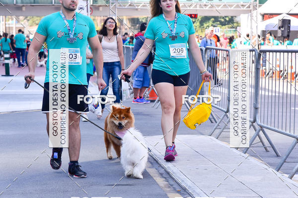 Buy your photos of the event2 Pet Run Shopping Eldorado  on Fotop
