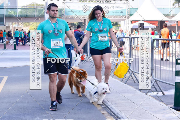 Buy your photos of the event2 Pet Run Shopping Eldorado  on Fotop