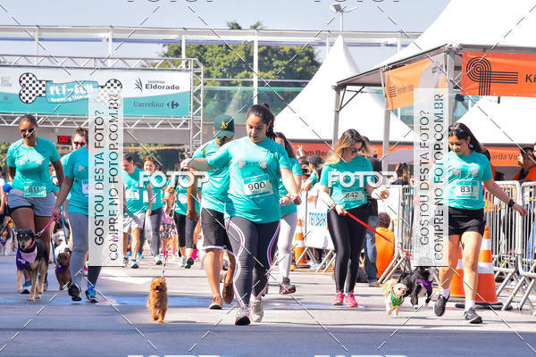 Buy your photos of the event2 Pet Run Shopping Eldorado  on Fotop