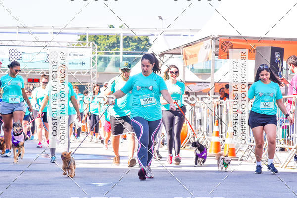 Buy your photos of the event2 Pet Run Shopping Eldorado  on Fotop