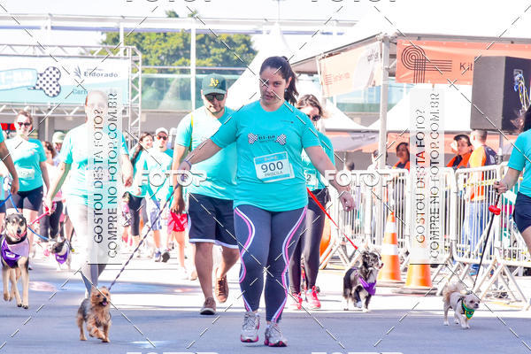 Buy your photos of the event2 Pet Run Shopping Eldorado  on Fotop