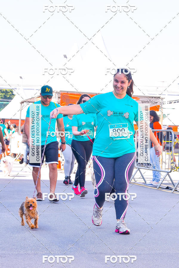 Buy your photos of the event2 Pet Run Shopping Eldorado  on Fotop