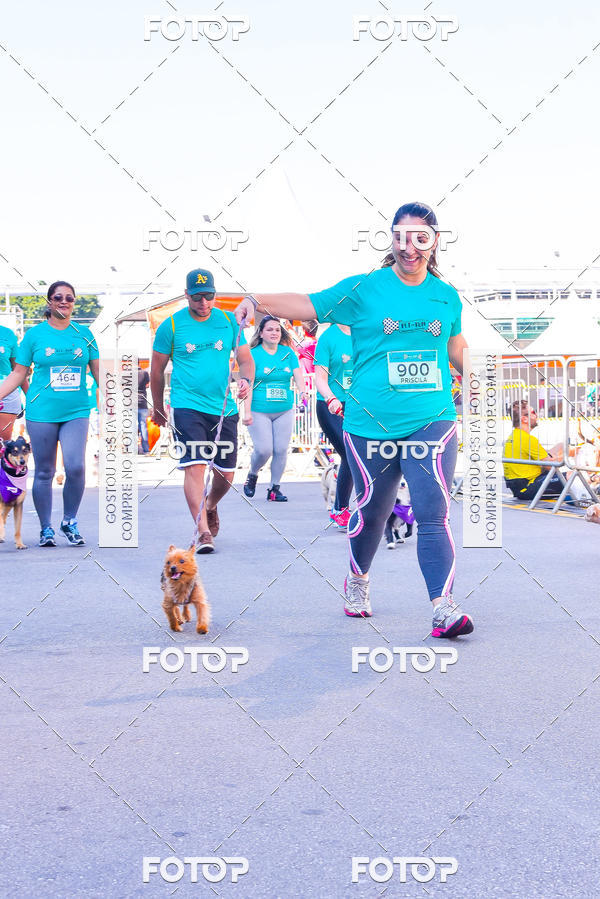 Buy your photos of the event2 Pet Run Shopping Eldorado  on Fotop
