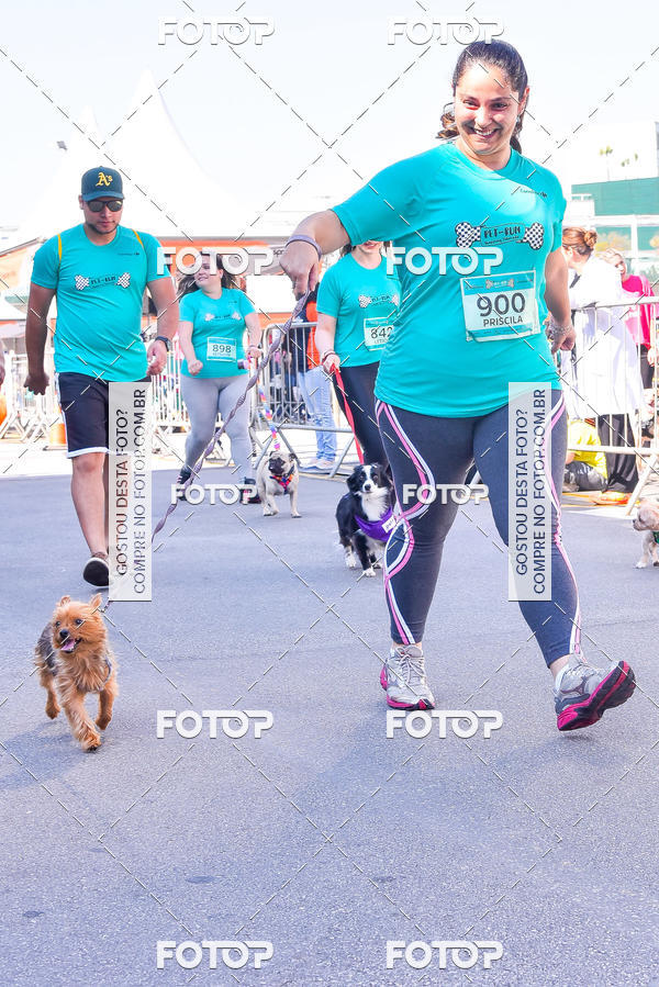 Buy your photos of the event2 Pet Run Shopping Eldorado  on Fotop