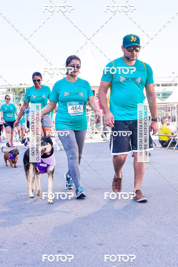 Buy your photos of the event2 Pet Run Shopping Eldorado  on Fotop