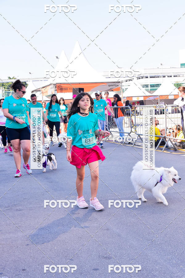 Buy your photos of the event2 Pet Run Shopping Eldorado  on Fotop