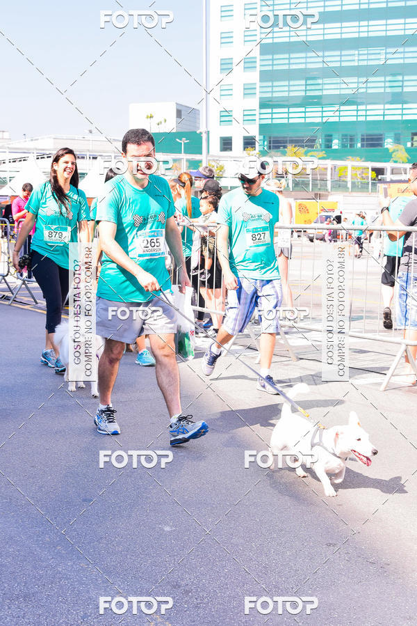 Buy your photos of the event2 Pet Run Shopping Eldorado  on Fotop