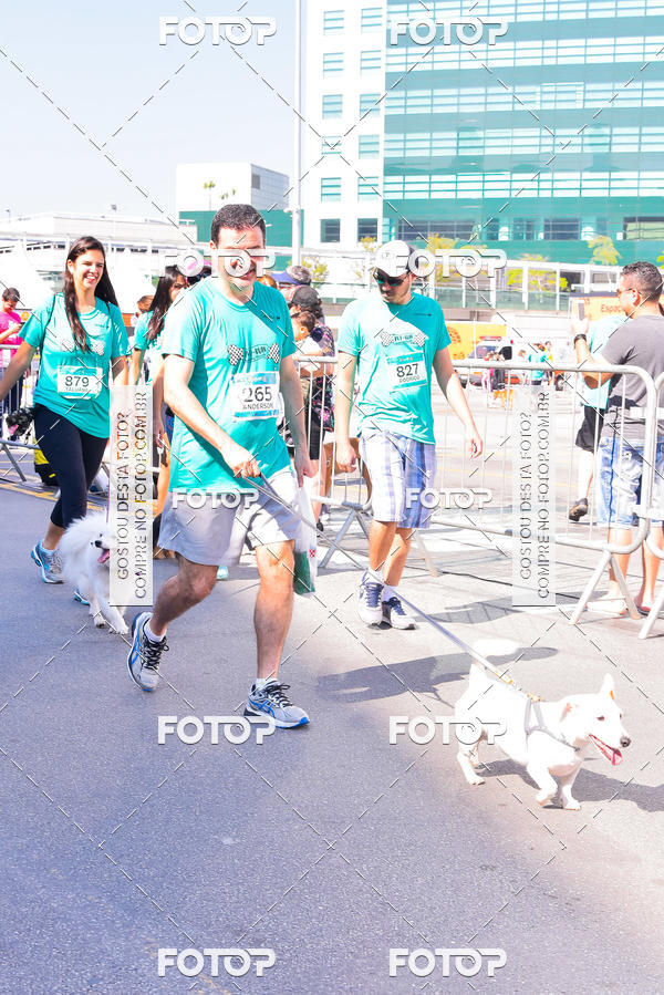 Buy your photos of the event2 Pet Run Shopping Eldorado  on Fotop