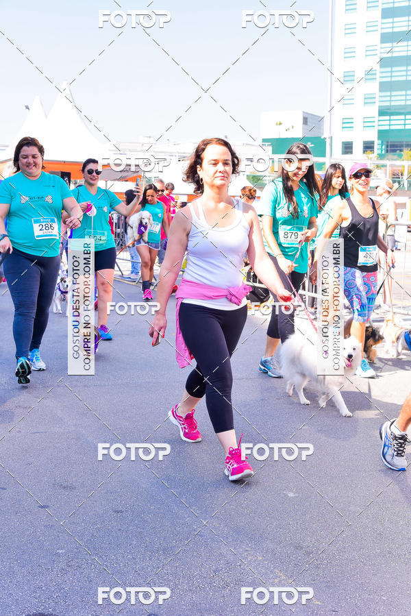 Buy your photos of the event2 Pet Run Shopping Eldorado  on Fotop