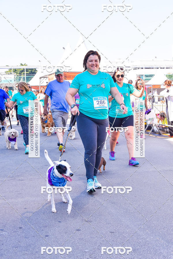 Buy your photos of the event2 Pet Run Shopping Eldorado  on Fotop