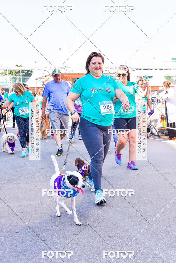Buy your photos of the event2 Pet Run Shopping Eldorado  on Fotop