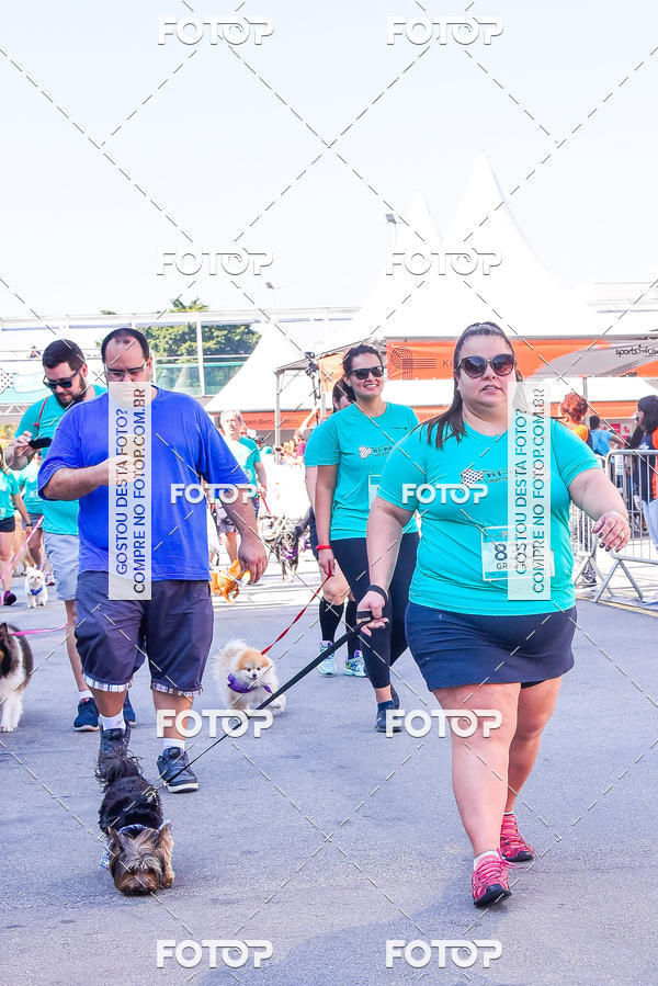 Buy your photos of the event2 Pet Run Shopping Eldorado  on Fotop