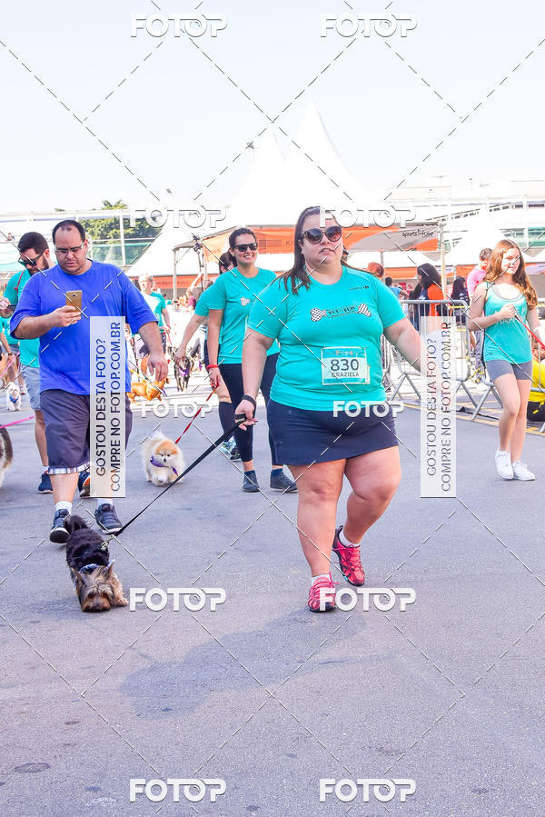 Buy your photos of the event2 Pet Run Shopping Eldorado  on Fotop
