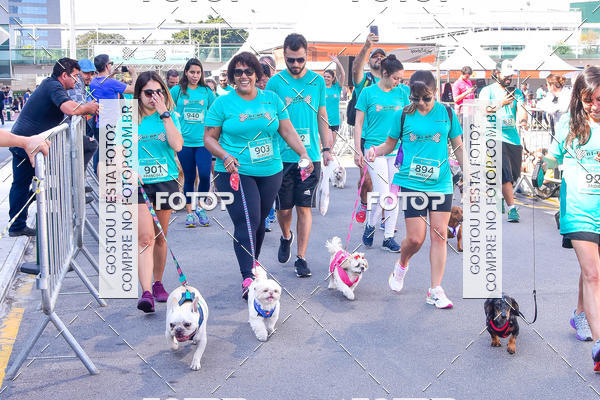 Buy your photos of the event2 Pet Run Shopping Eldorado  on Fotop