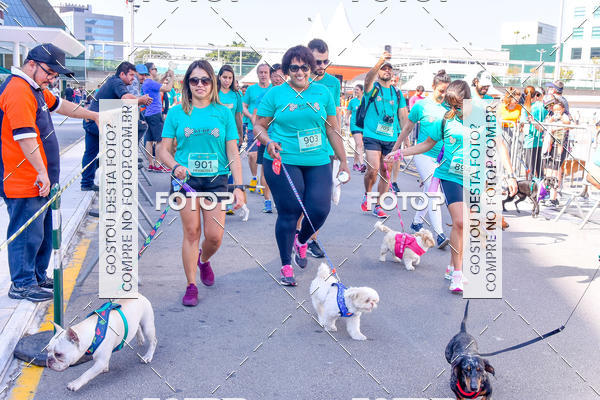 Buy your photos of the event2 Pet Run Shopping Eldorado  on Fotop