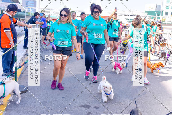 Buy your photos of the event2 Pet Run Shopping Eldorado  on Fotop