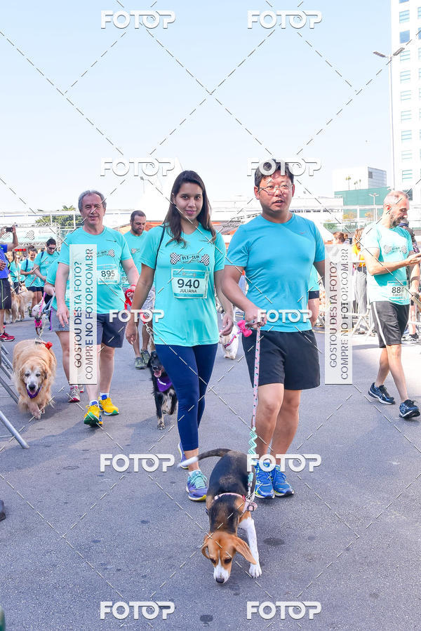 Buy your photos of the event2 Pet Run Shopping Eldorado  on Fotop