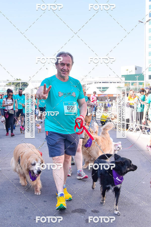 Buy your photos of the event2 Pet Run Shopping Eldorado  on Fotop