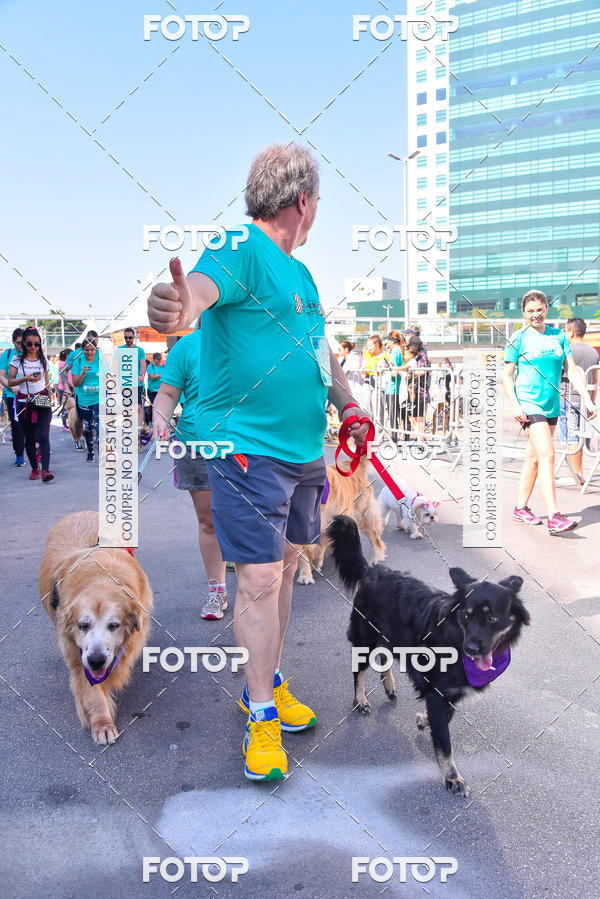 Buy your photos of the event2 Pet Run Shopping Eldorado  on Fotop